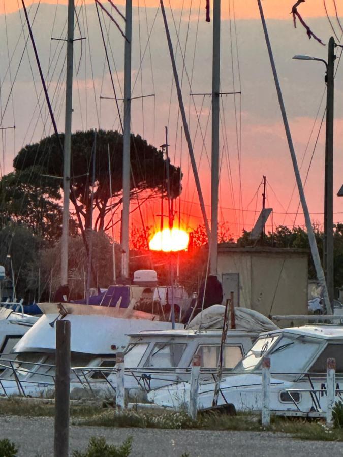 La Dauradelle Villa Port-Saint-Louis-du-Rhône Buitenkant foto
